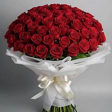 Букет 101 Красная роза Блэк Мэджик в Петровском Тамбовской области