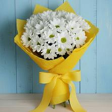 Букет цветов из:  Хризантемы в Петровском Тамбовской области