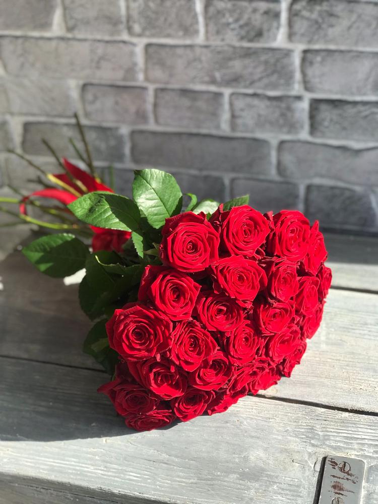 Букет Красные розы Фридом в Петровском Тамбовской области