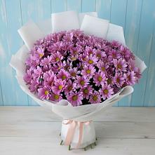 Букет цветов из:  Хризантемы в Петровском Тамбовской области