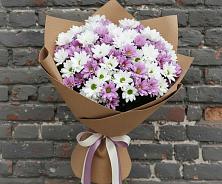 Букет цветов из:  Хризантемы в Петровском Тамбовской области