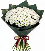 Букет цветов из:  Хризантемы в Петровском Тамбовской области