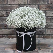 Цветочная композиция из Гипсофила в шляпной коробке в Петровском Тамбовской области