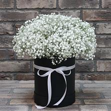 Цветочная композиция из Гипсофила в шляпной коробке в Петровском Тамбовской области